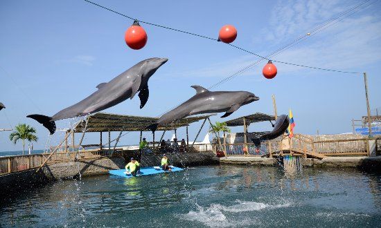 Rodadero Sea Aquarium and Museum